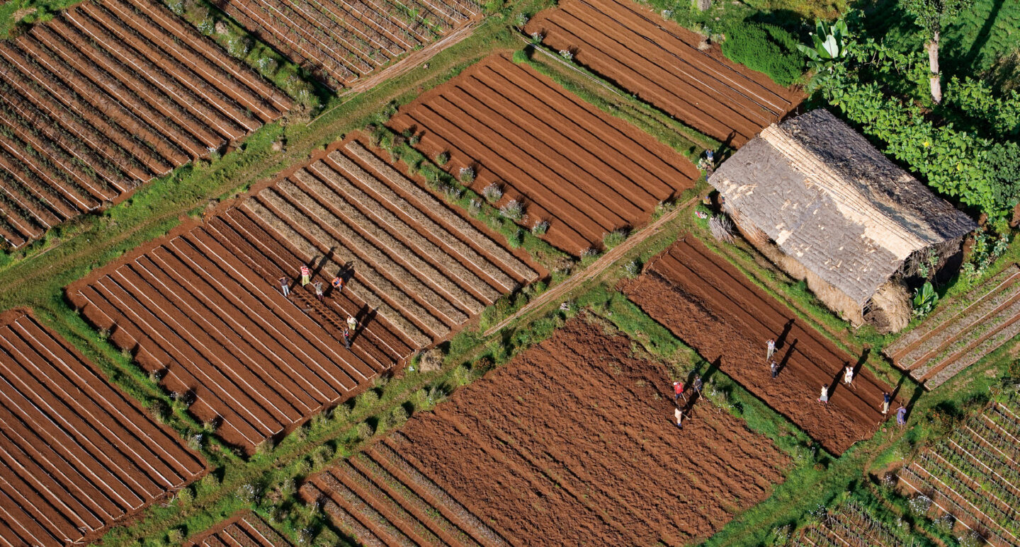 Aerial view of a farm with multiple rectangular plots of tilled soil separated by narrow green grass paths. Several people are working in the fields, and a thatched-roof hut is situated near the top right corner, surrounded by dense green vegetation. The soil appears rich and reddish-brown, and the fields are neatly organized in parallel rows.