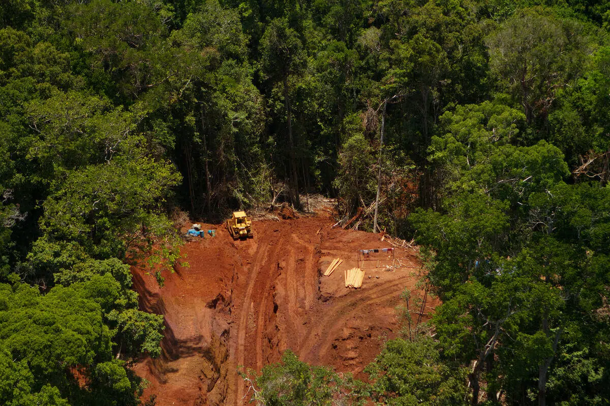 A cleared area of red soil in the middle of dense green forest with a yellow bulldozer parked near the edge. There are some blue barrels and a pile of long wooden planks on the ground, along with a small makeshift structure. Tire tracks are visible in the soil.