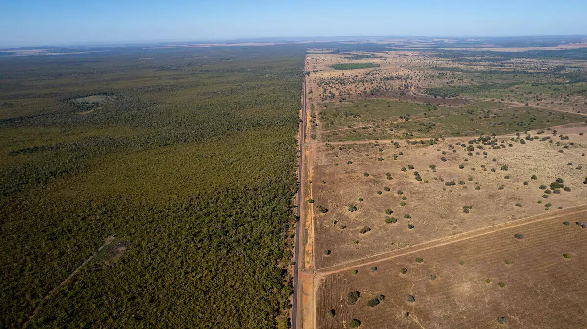 Aerial view of a straight dirt road dividing two contrasting landscapes: dense green forest on the left and dry, sparsely vegetated land with scattered bushes on the right, under a clear blue sky.