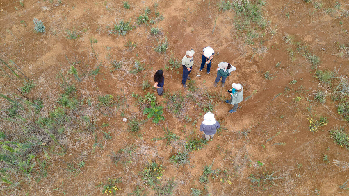 Six people standing in a circle on dry, patchy ground with sparse green vegetation. Most are wearing hats and outdoor clothing, and one person is holding a tablet or notebook. The area appears to be a natural or field environment.