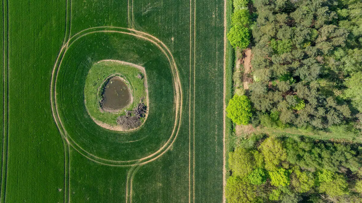 Aerial view of a green field with a circular dirt track surrounding a small pond and some vegetation in the center. To the right of the field is a dense forest with various shades of green trees.