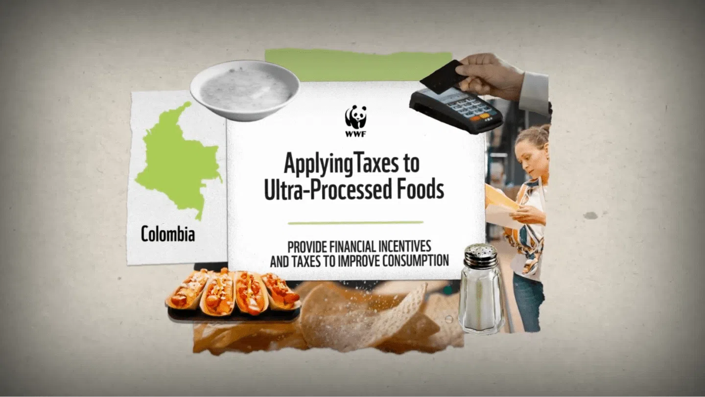 Map of Colombia in green with text "Colombia," a bowl of soup, a hand holding a card near a payment terminal, three hot dogs on a tray, a salt shaker, and a woman reading a document. Center text reads: "WWF Applying Taxes to Ultra-Processed Foods. Provide financial incentives and taxes to improve consumption.