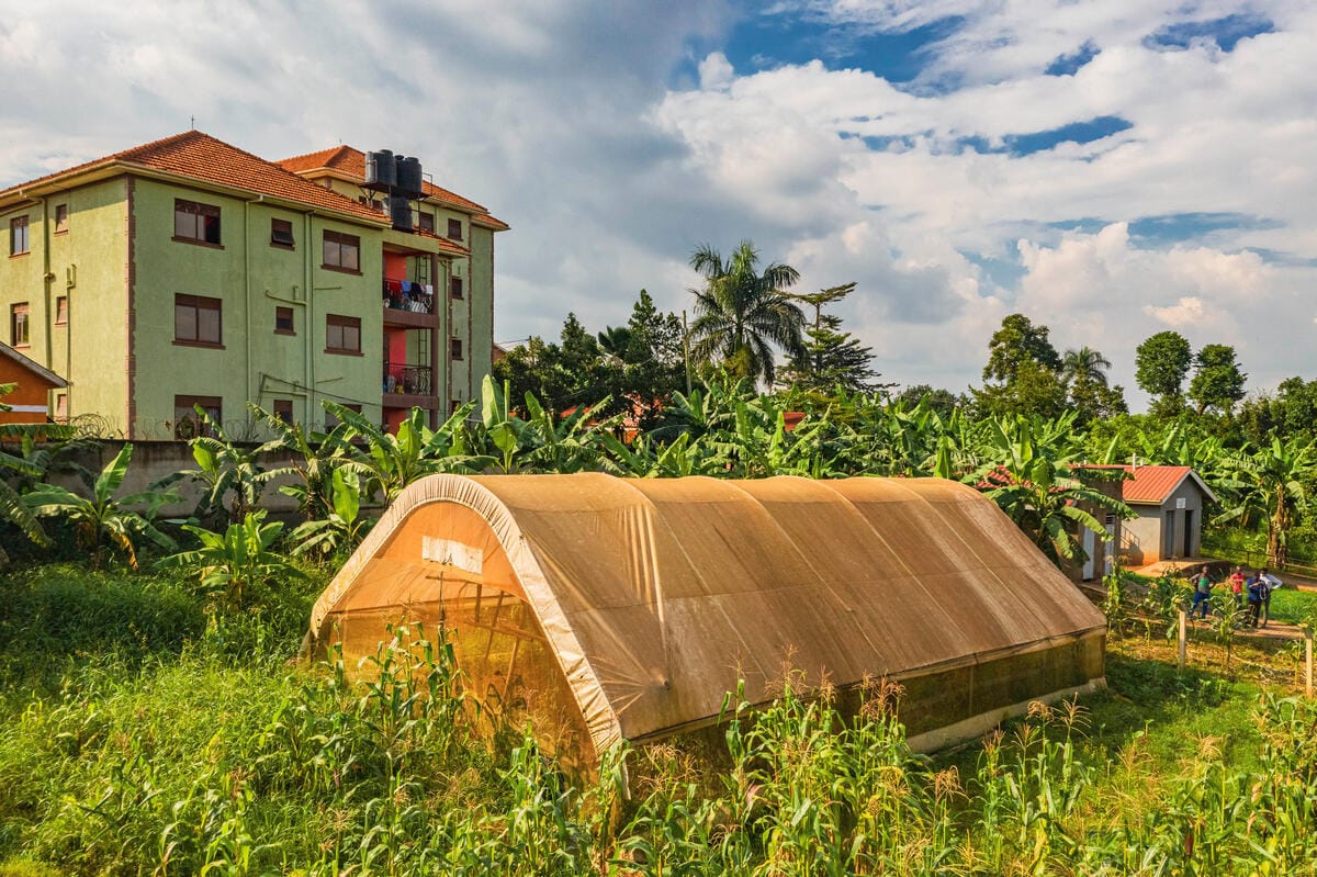 A large beige greenhouse with a curved roof is situated in a lush green area surrounded by tall plants and banana trees. In the background, there is a four-story green building with a red-tiled roof and balconies. The sky above is partly cloudy with patches of blue.