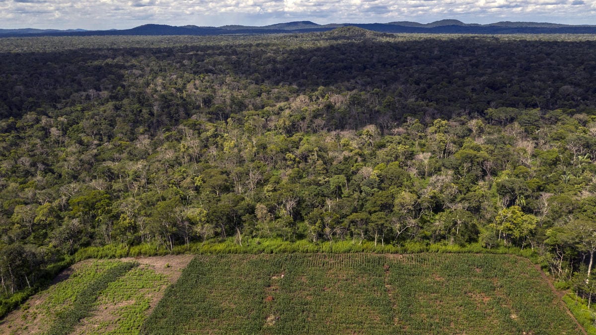 Dense forest with a cultivated field in the foreground, extending towards distant hills under a partly cloudy sky.