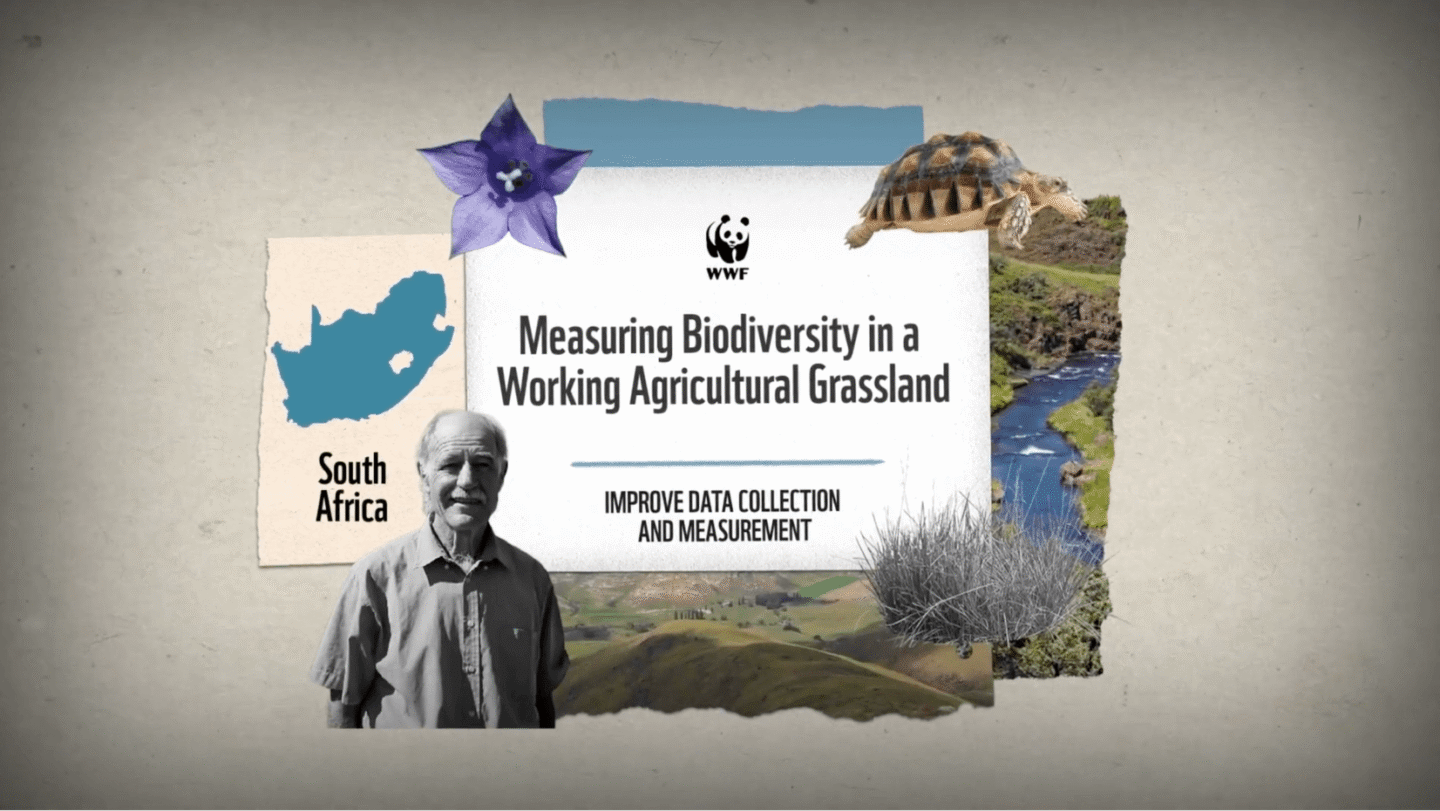 WWF graphic titled "Measuring Biodiversity in a Working Agricultural Grassland" with a focus on South Africa. The image includes a map of South Africa, a purple flower, a tortoise, a man in a gray shirt, grass, and a river landscape. The subtitle reads "Improve Data Collection and Measurement.
