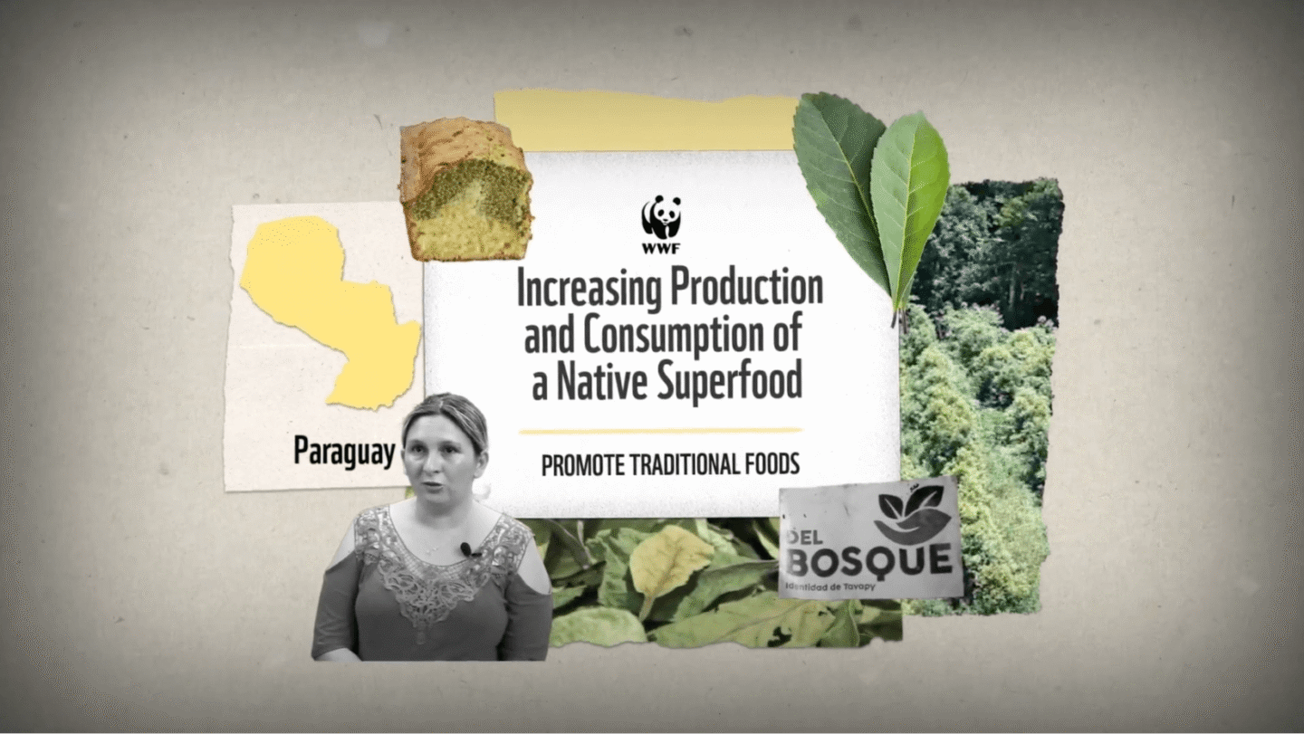 A collage featuring a woman speaking, a yellow map of Paraguay labeled "Paraguay," a piece of green and yellow cake, two green leaves, a forest image, and a sign reading "DEL BOSQUE Identidad de Tavapy." In the center, text reads "WWF Increasing Production and Consumption of a Native Superfood PROMOTE TRADITIONAL FOODS.