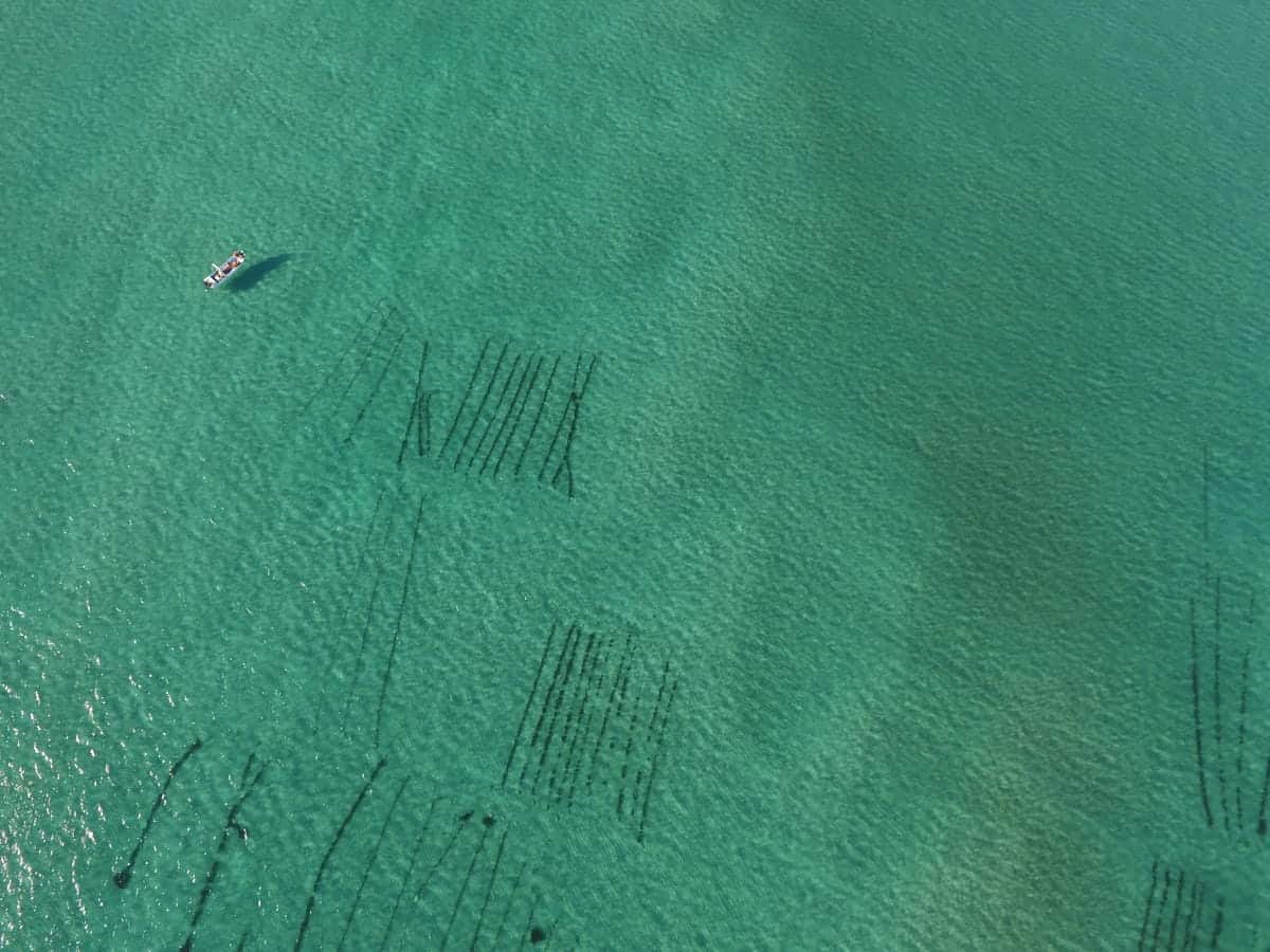 Clear turquoise water with a small boat floating near several submerged rectangular and linear structures, likely fish or shellfish farming nets or cages.