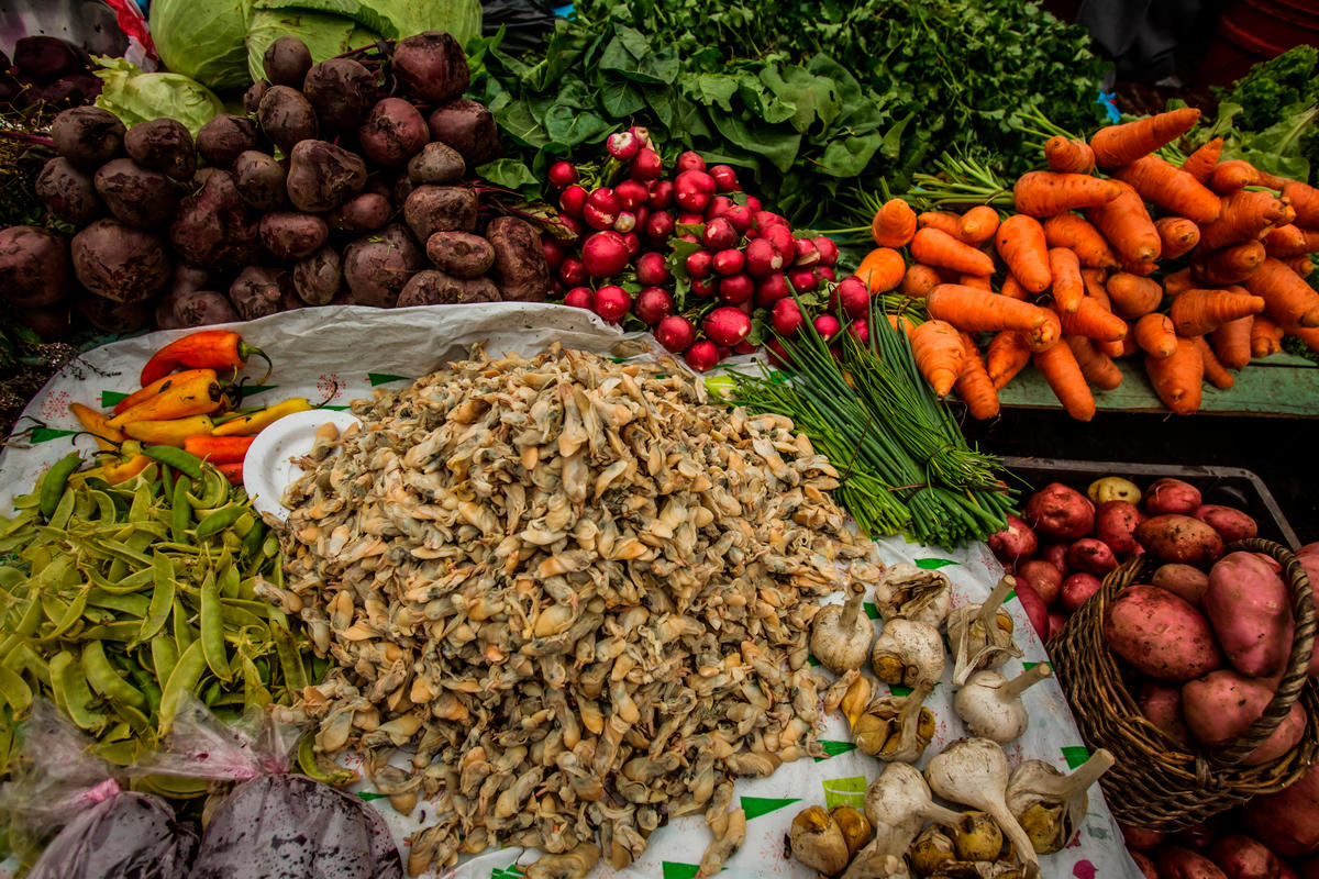 A market display featuring a large pile of small clams or shellfish in the center, surrounded by various fresh vegetables including carrots, radishes, beets, green beans, leafy greens, and garlic bulbs. The vegetables are arranged in bunches and baskets, showcasing a colorful and diverse selection.