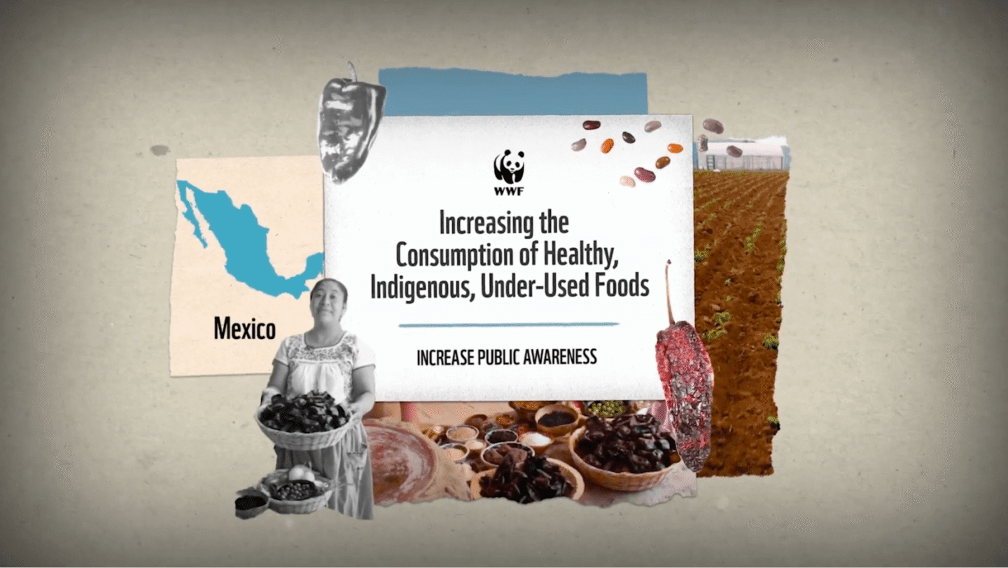 WWF message promoting the increase of consumption of healthy, indigenous, under-used foods to raise public awareness. The image includes a map of Mexico, a woman holding baskets of food, various beans, a chili pepper, and a cultivated field in the background.