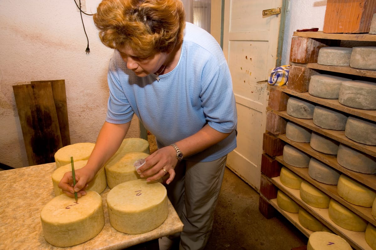 A person with short, curly hair wearing a light blue shirt and beige pants is marking round wheels of cheese with a green pencil on a table. Several wheels of cheese are stacked on wooden shelves nearby. The setting appears to be a cheese aging or storage room.