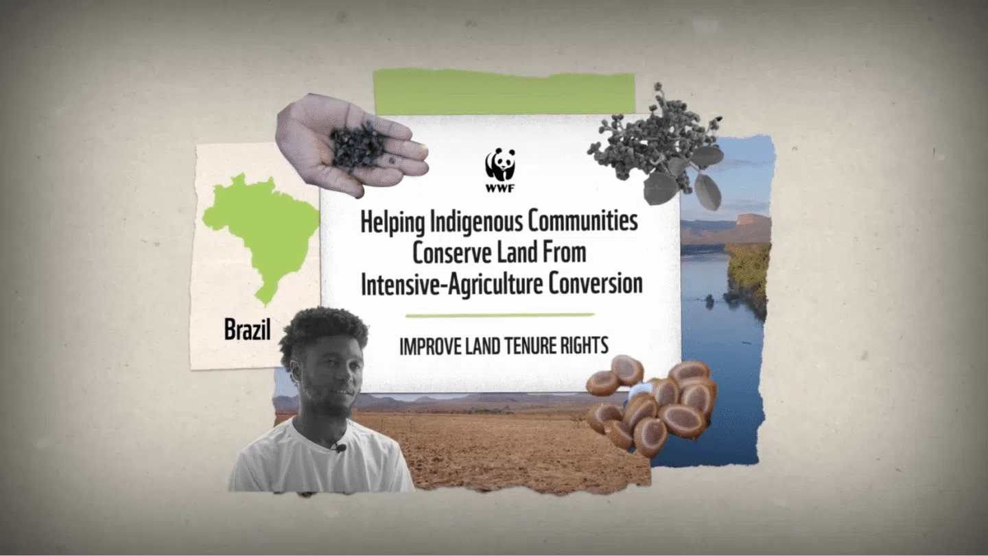 Helping Indigenous communities conserve land from intensive-agriculture conversion in Brazil, with a focus on improving land tenure rights. The image includes a map of Brazil, a river landscape, a person, and illustrations of seeds and plants, alongside the WWF logo.