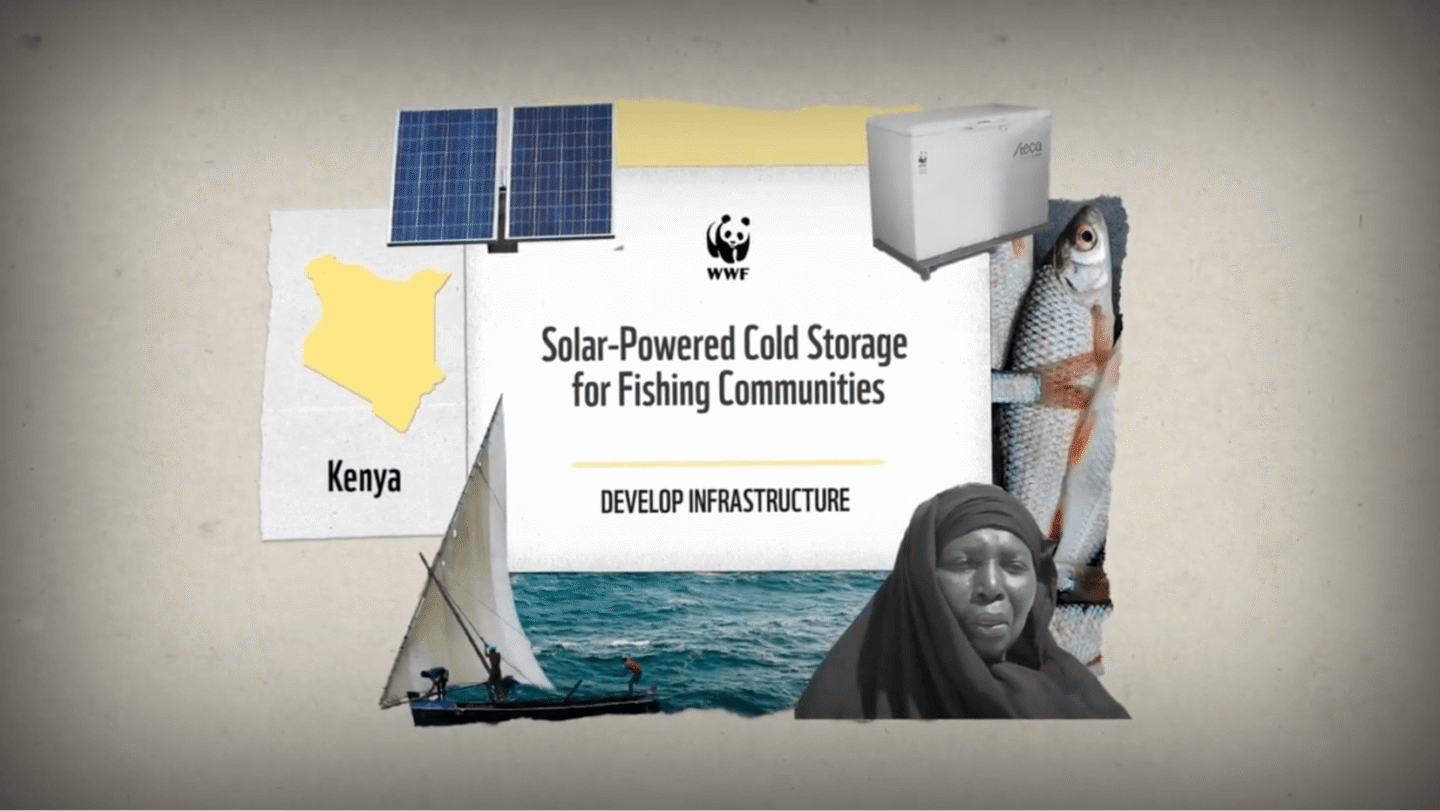 Solar-powered cold storage initiative for fishing communities in Kenya, featuring a solar panel, a cold storage unit, a fishing boat on the water, a woman in traditional attire, and fish, with the WWF logo and the phrase "Develop Infrastructure.