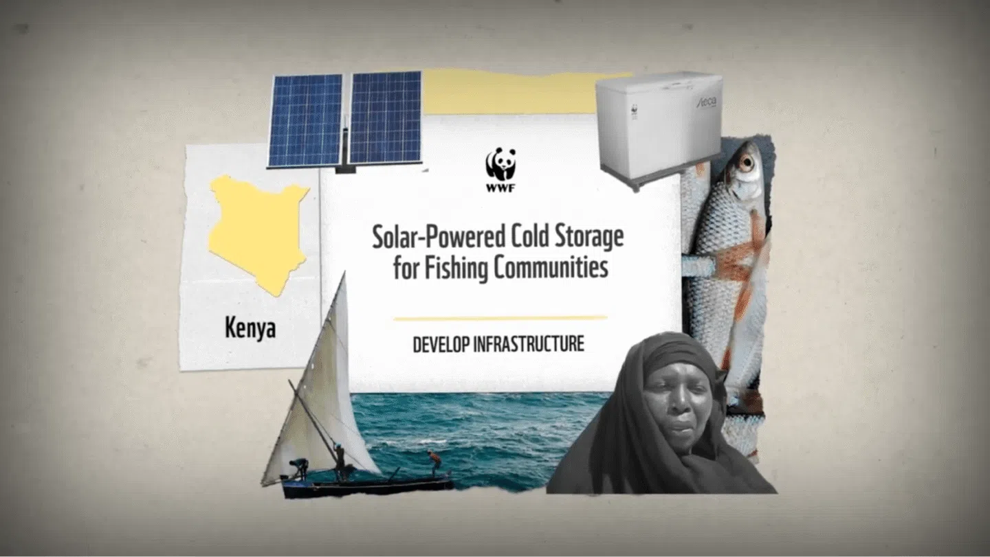 Solar-powered cold storage initiative for fishing communities in Kenya, featuring images of a solar panel, a cold storage unit, a fishing boat on the water, a fish, and a woman wearing a headscarf, with the WWF logo and the text "Develop Infrastructure.