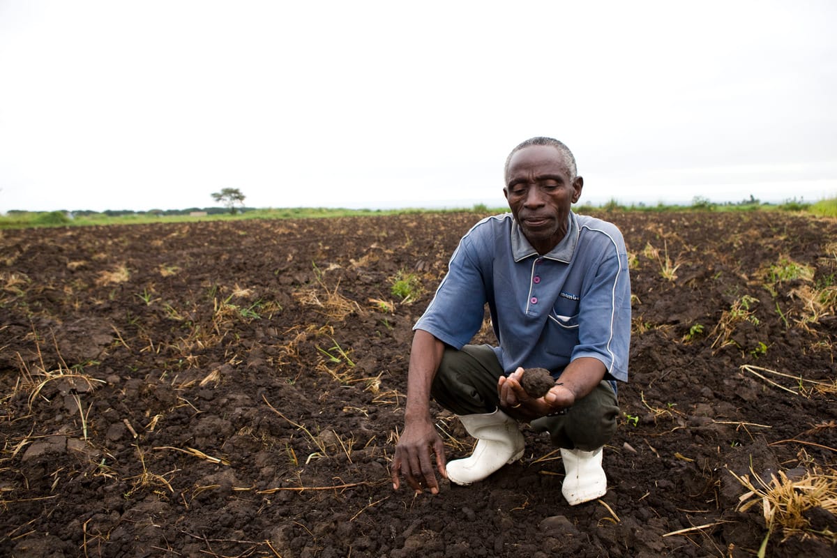 A man wearing a blue shirt, dark pants, and white boots is squatting in a field, holding a clump of soil in one hand while examining it. The field has dark, rich soil with sparse vegetation and a cloudy sky in the background.