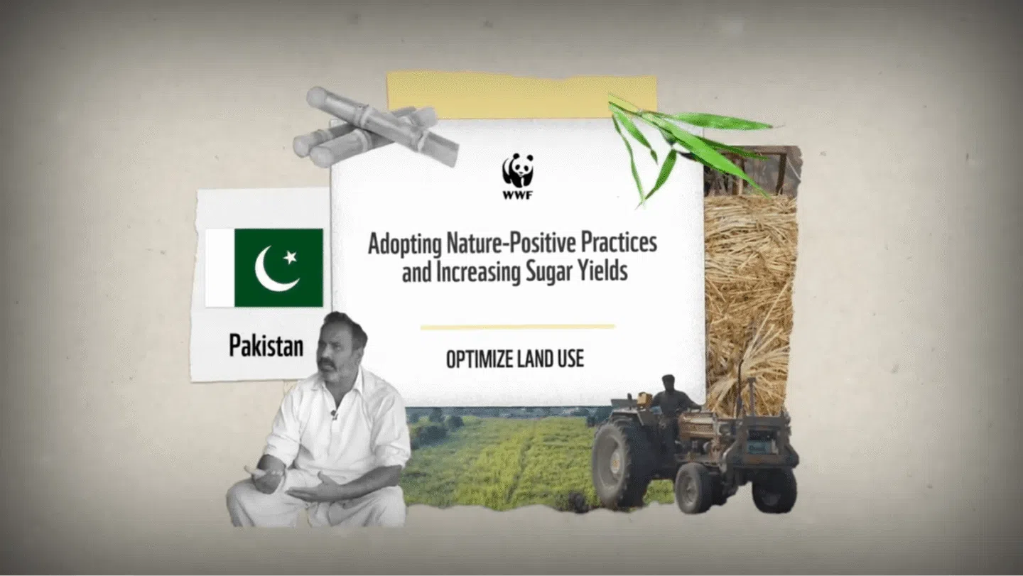 WWF campaign image featuring the Pakistan flag and the text "Adopting Nature-Positive Practices and Increasing Sugar Yields" with the subtitle "Optimize Land Use." The image includes illustrations of sugarcane stalks, green leaves, a man sitting and gesturing, a tractor, and a field of crops.