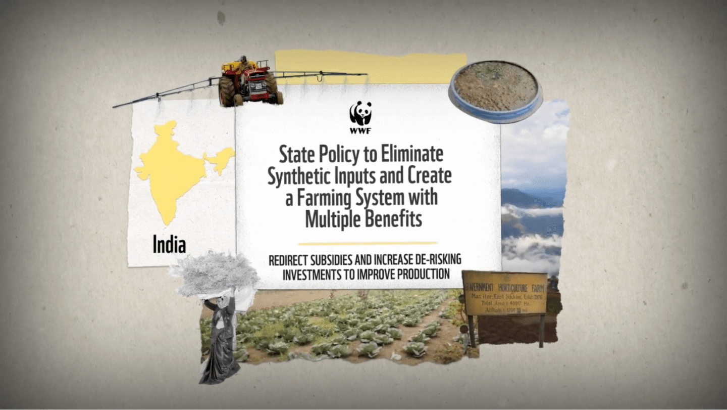 WWF message on a state policy to eliminate synthetic inputs and create a farming system with multiple benefits in India, emphasizing redirecting subsidies and increasing de-risking investments to improve production. The image includes a yellow map of India, a tractor spraying crops, a soil sample, a woman carrying a basket, a vegetable field, and a signboard for a government horticulture farm in East Sikkim.