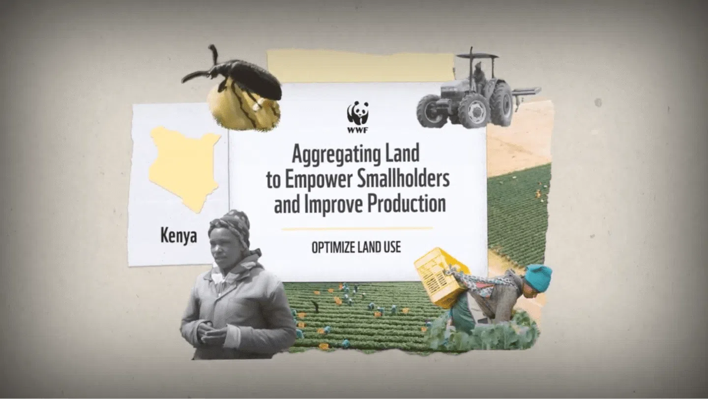 WWF message about aggregating land to empower smallholders and improve production in Kenya, featuring a map of Kenya, a beetle on a fruit, a tractor, a woman standing, another woman harvesting crops in a field, and the text "OPTIMIZE LAND USE.