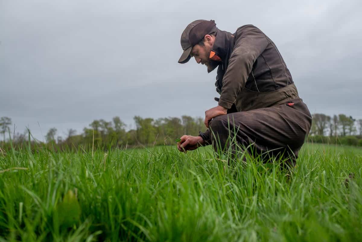 A man wearing a brown cap and brown work overalls is crouching in a green grassy field, closely examining a small plant in his hand. The background shows a line of trees under a cloudy sky.