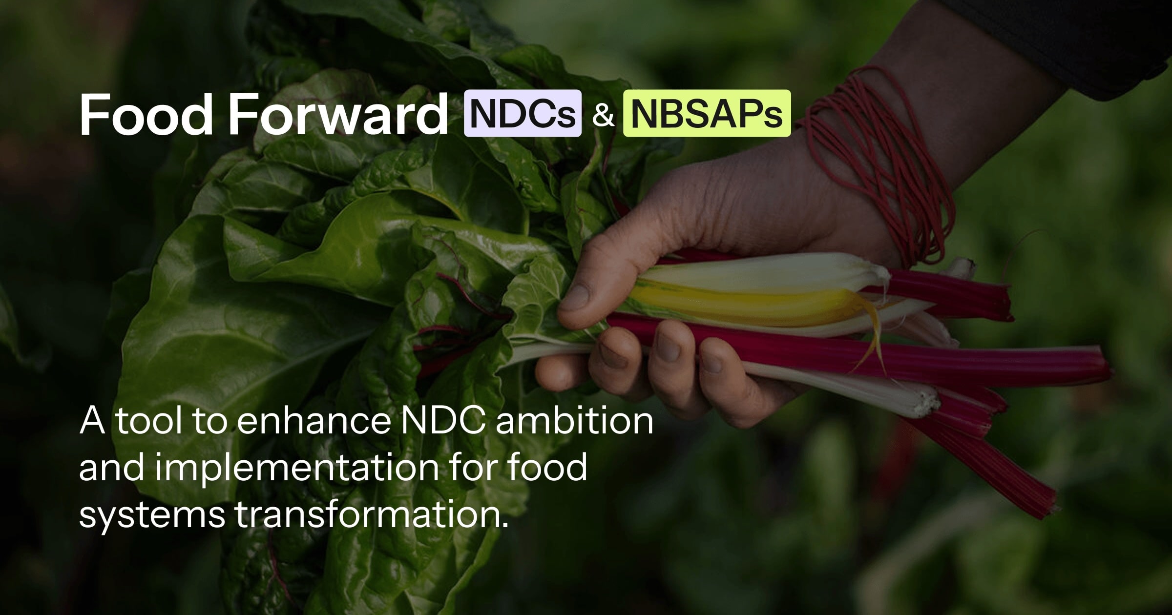 About this Tool - Food Forward NDCs & NBSAPs