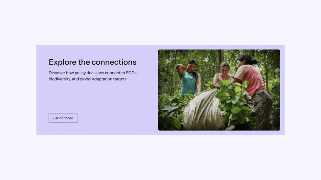 Three women are working together in a lush green forest, handling a large sack filled with leaves or plants. The scene conveys collaboration and connection with nature.