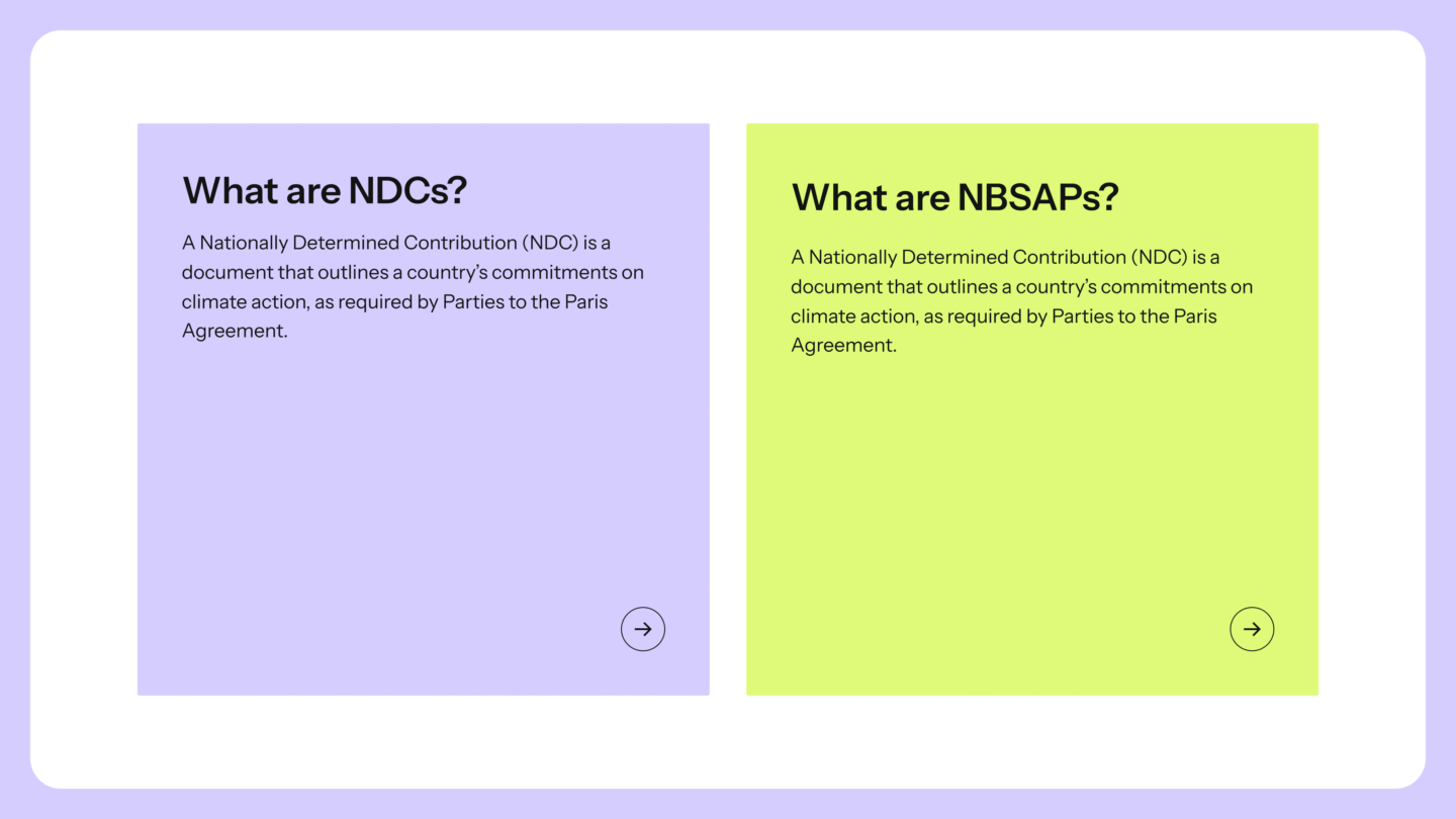 Two side-by-side colored boxes with text. The left box is light purple and titled "What are NDCs?" It explains that a Nationally Determined Contribution (NDC) is a document outlining a country's commitments on climate action as required by the Paris Agreement. The right box is light yellow-green and titled "What are NBSAPs?" It contains the same text as the left box, incorrectly describing NBSAPs as a Nationally Determined Contribution (NDC) document. Both boxes have a circular arrow icon at the bottom right corner.